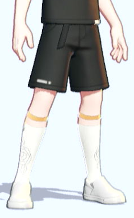 Tea Party Style Set (Clefable, Yellow-Green): Socks Preview