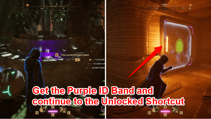 Purple Door Unlocked