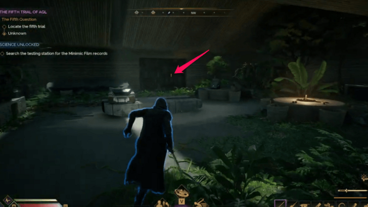 Find the Minimic Film