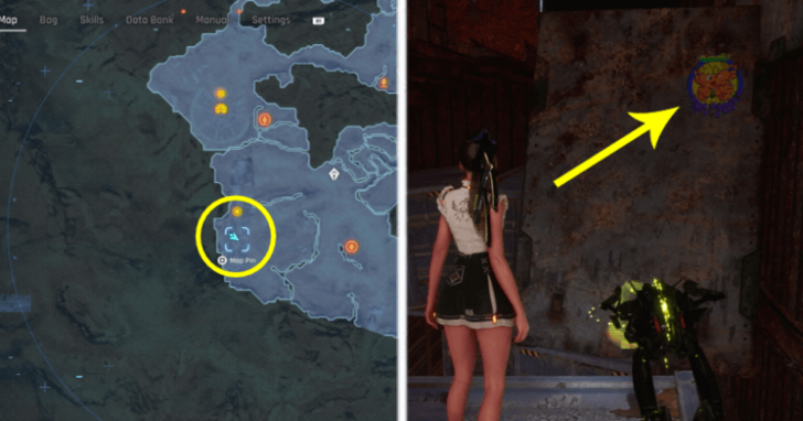 Vibrant Butterfly Location