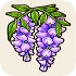 Wisteria