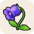 Blue Bellflower