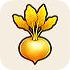 Golden Turnip