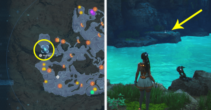 Stellar Tear#AB6148M Location