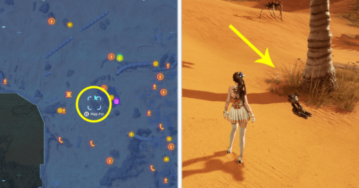 Stellar Tear#AB3459D Location