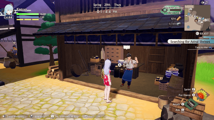 Nonstop Summer Shop Overworld