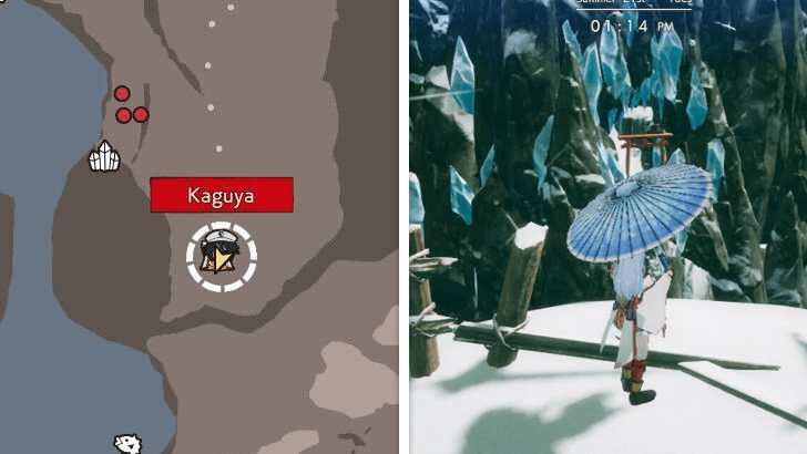 Go to the Broken Fence Past the Frog Statue