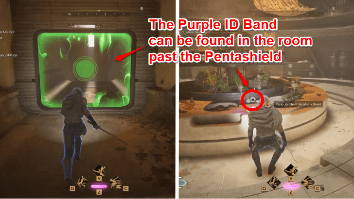 Purple ID Band Location