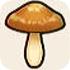 Savory Mushroom