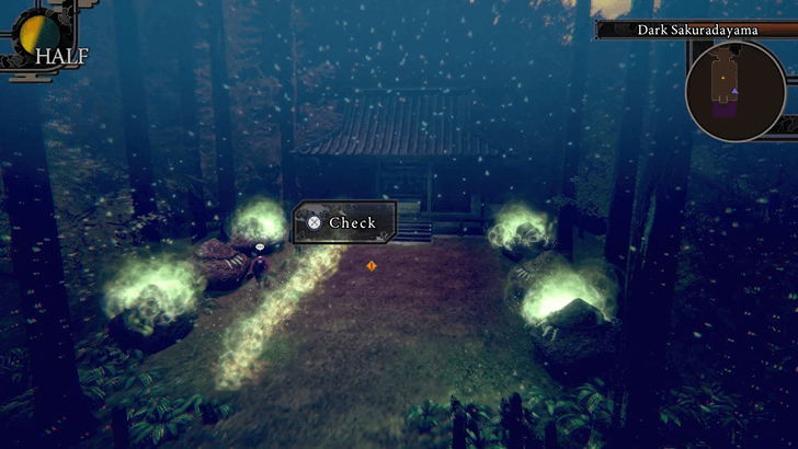 Sacred Stone Puzzle Step 2