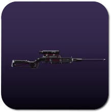 Assassin’s Rifle