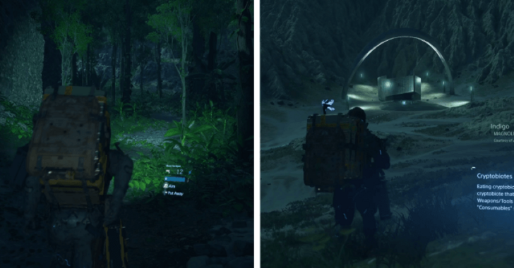 Death Stranding 2 Overgrown Ruins