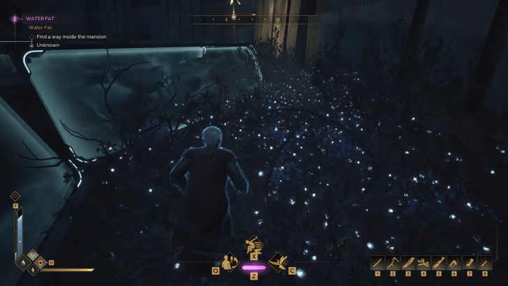 Water Fat Sneaking in the Garden