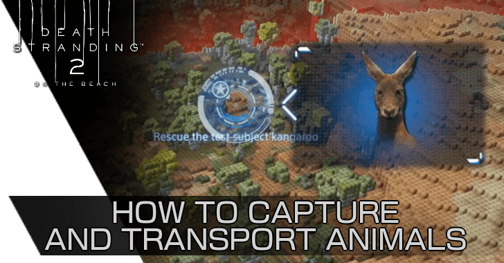 Death Stranding 2 - How to Capture and Transport Animals