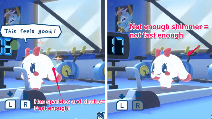 Sparkles and Shimmer