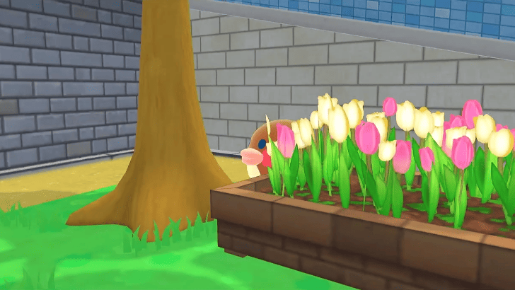 Otamatchi Hide and Seek 1 Photo Reward