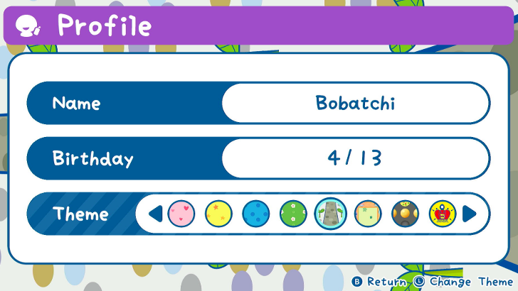 Player Name and Birthday.png