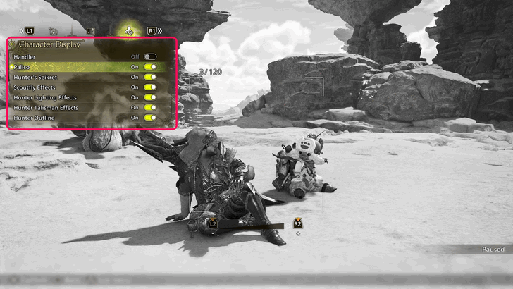 Character Display tab