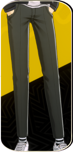 P5X - Gray Slacks