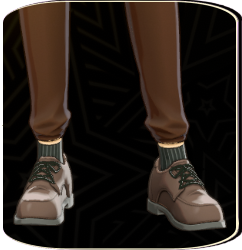 P5X - Brown Designer Shoes