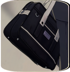 P5X - Kokatsu Academy Bag