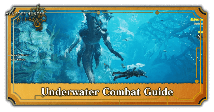 Underwater Combat Guide