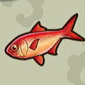 Alfonsino