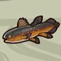 Ancient Fish