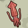Squid