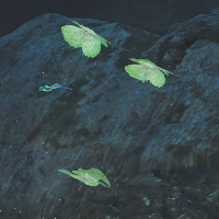 Fluttering Quatreflies