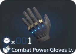 Combat Power Gloves Lv2