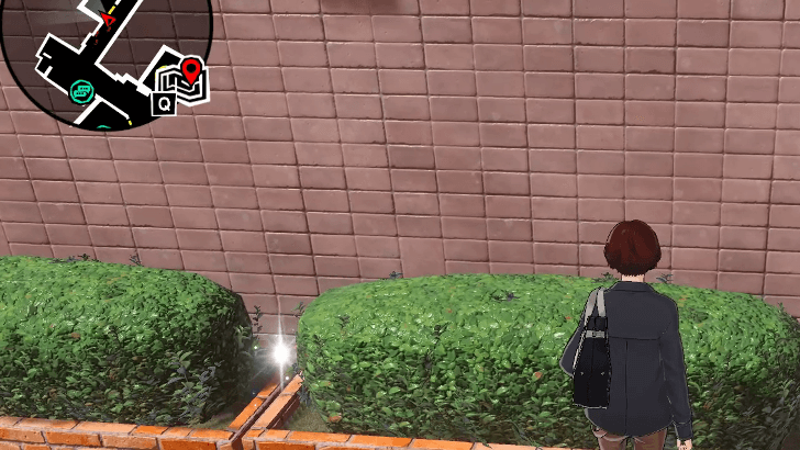 P5 Phantom X - Zongen-Jaya Tabby Cat 5