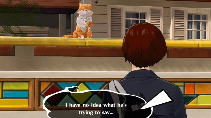 P5 Phantom X - Tabby Treasure - Zongen-Jaya 1