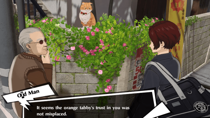 P5 Phantom X - Tabby Treasure - Zongen-Jaya 3