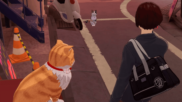 P5 Phantom X - Tabby Treasure - Shinjuku 3