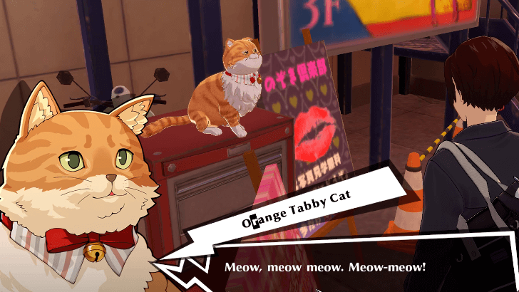 P5 Phantom X - Tabby Treasure - Shinjuku 2