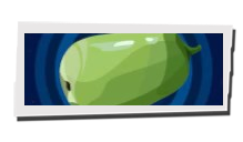 P5 Phantom X - Winter Melon Image