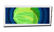 P5 Phantom X - Cabbage Image