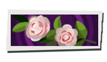 P5 Phantom X - Camellias Image