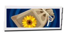 P5 Phantom X - Sunflower Seeds Image