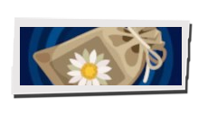 P5 Phantom X - Daisy Seeds Image