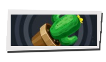 P5 Phantom X - Mini Cactus Image