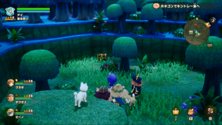 Chest 22 world location