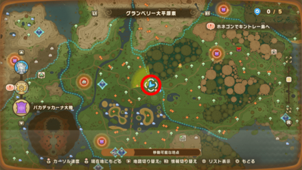 Chest 48 map location