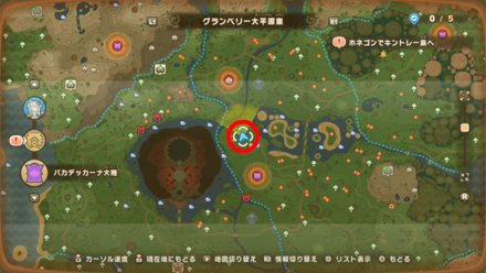 Chest 49 map location