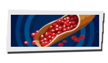 P5 Phantom X - Azuki Beans Image