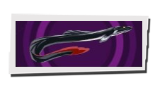 P5 Phantom X - Eel Image