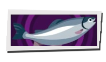 P5 Phantom X - Salmon Image