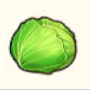 Cabbage