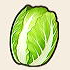 Napa Cabbage Chief
